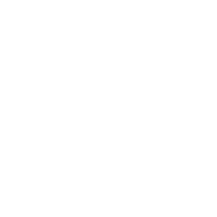 Logo ProNails - blanc
